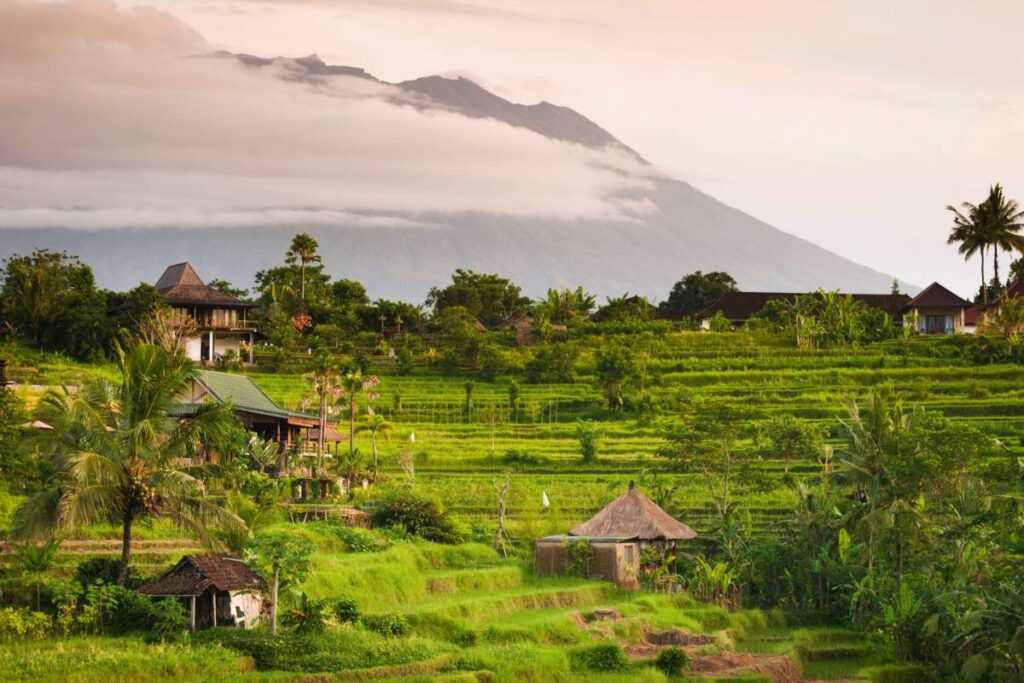 Lush rice terraces and mountains in Bali at sunrise